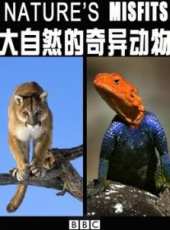 BBC：大自然的奇異動物線上看_全集高清完整版線上看_分集劇情介紹_好看的電視劇