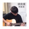 林家源歌曲歌詞大全_林家源最新歌曲歌詞