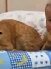 萌次元最新一期線上看_全集完整版高清線上看_好看的綜藝