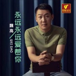魏高個人資料介紹_個人檔案(生日/星座/歌曲/專輯/MV作品)