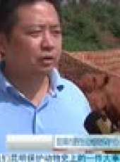 新看點最新一期線上看_全集完整版高清線上看_好看的綜藝