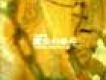 First Love (strings歌詞_魔女的條件First Love (strings歌詞