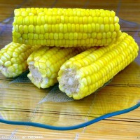 玉米圖片照片_玉米