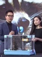 萬萬沒想到最新一期線上看_全集完整版高清線上看_好看的綜藝