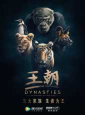 新少林五祖線上看_全集高清完整版線上看_分集劇情介紹_好看的電視劇