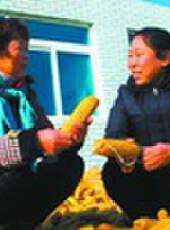 遼寧新聞最新一期線上看_全集完整版高清線上看 - 蟲蟲綜藝