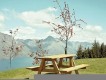 Should歌曲歌詞大全_Should最新歌曲歌詞