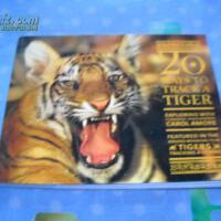 Track A Tiger圖片照片_Track A Tiger