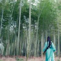 竹影聆風歌曲歌詞大全_竹影聆風最新歌曲歌詞