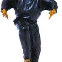 MC HAMMER圖片照片_MC HAMMER