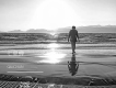 七里蟬組合歌曲歌詞大全_七里蟬組合最新歌曲歌詞