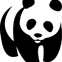 Panda圖片照片_Panda