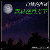 自然的聲音: 森林在月光下專輯_Jamie Llewellyn自然的聲音: 森林在月光下最新專輯