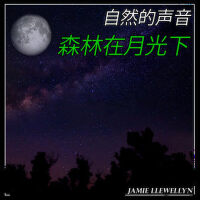 自然的聲音: 森林在月光下