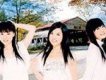 青燕子演唱組歌曲歌詞大全_青燕子演唱組最新歌曲歌詞