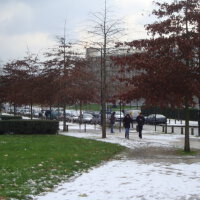 Snow In Mexico圖片照片_Snow In Mexico
