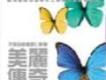 全因為你歌詞_鄧婉玲全因為你歌詞