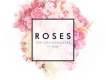 Roses歌詞_The Chainsmokers Roses歌詞