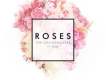 The Chainsmokers 歌曲歌詞大全_The Chainsmokers 最新歌曲歌詞