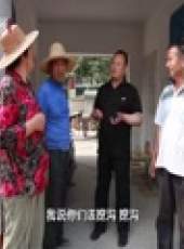 為你而歌最新一期線上看_全集完整版高清線上看_好看的綜藝