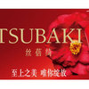 Tsubaki圖片照片
