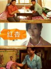 付悅演過的電影電視劇線上看_影視作品大全_好看的明星