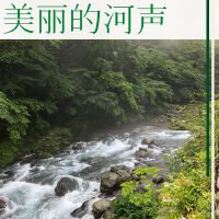 平靜音樂最新專輯_新專輯大全_專輯列表
