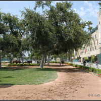 Paddock Park圖片照片_Paddock Park