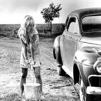 Cool Hand Luke圖片照片_Cool Hand Luke