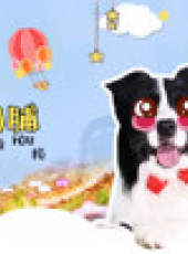 寵愛廚房最新一期線上看_全集完整版高清線上看_好看的綜藝