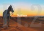 柳競馳JcTen歌曲歌詞大全_柳競馳JcTen最新歌曲歌詞