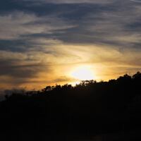 Evening圖片照片_Evening