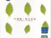 葉樹茵歌曲歌詞大全_葉樹茵最新歌曲歌詞
