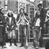 King Harvest
