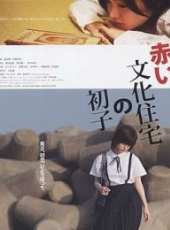 坂井真紀演過的電影電視劇線上看_影視作品大全_好看的明星