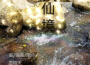 賈皓天歌曲歌詞大全_賈皓天最新歌曲歌詞