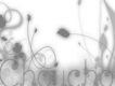 ChouChou歌曲歌詞大全_ChouChou最新歌曲歌詞