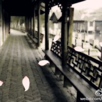 長歌紅影亂圖片照片_長歌紅影亂