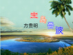 寶島曼波