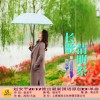 趙安平最新歌曲_最熱專輯MV_圖片照片