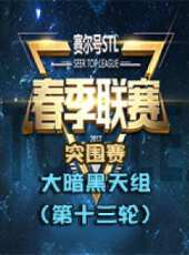 2017年賽爾號STL春季聯賽——突圍賽（大暗黑天組 第十三輪）動漫全集線上看_卡通片全集高清線上看_好看的動漫