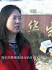 遼寧新聞最新一期線上看_全集完整版高清線上看 - 蟲蟲綜藝