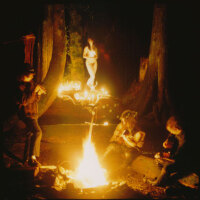 Wolves In The Throne圖片照片_Wolves In The Throne