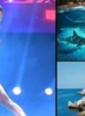 能力者們最新一期線上看_全集完整版高清線上看_好看的綜藝