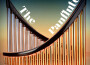 The Panflute專輯_Raimy SalazarThe Panflute最新專輯