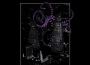 Noir Kid專輯_Violet ColdNoir Kid最新專輯