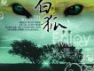 李維歌曲歌詞大全_李維最新歌曲歌詞