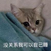 斯嘉最新專輯_新專輯大全_專輯列表