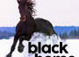 BH（BLACK HORES）專輯_Oscar JJBH（BLACK HORES）最新專輯