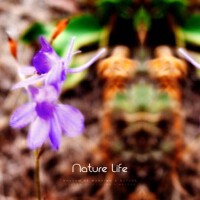 Nature Life專輯_Rhythm of Mankind & Nature Life最新專輯